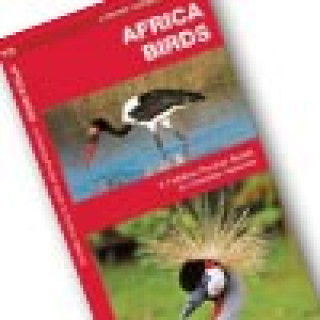 Image pour Guides de la nature Afrique