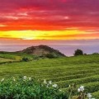 Image pour TUI - Vacances à Sao Miguel