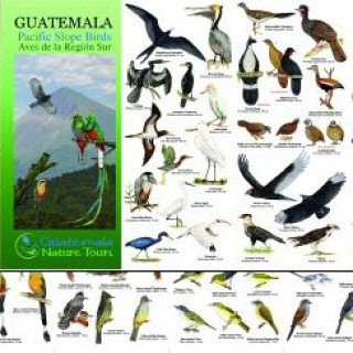 Image pour CONSEIL - Guides d'oiseaux