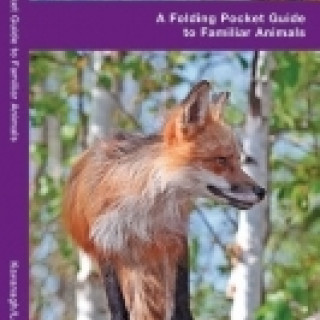 Image pour CONSEIL - Guides de Californie