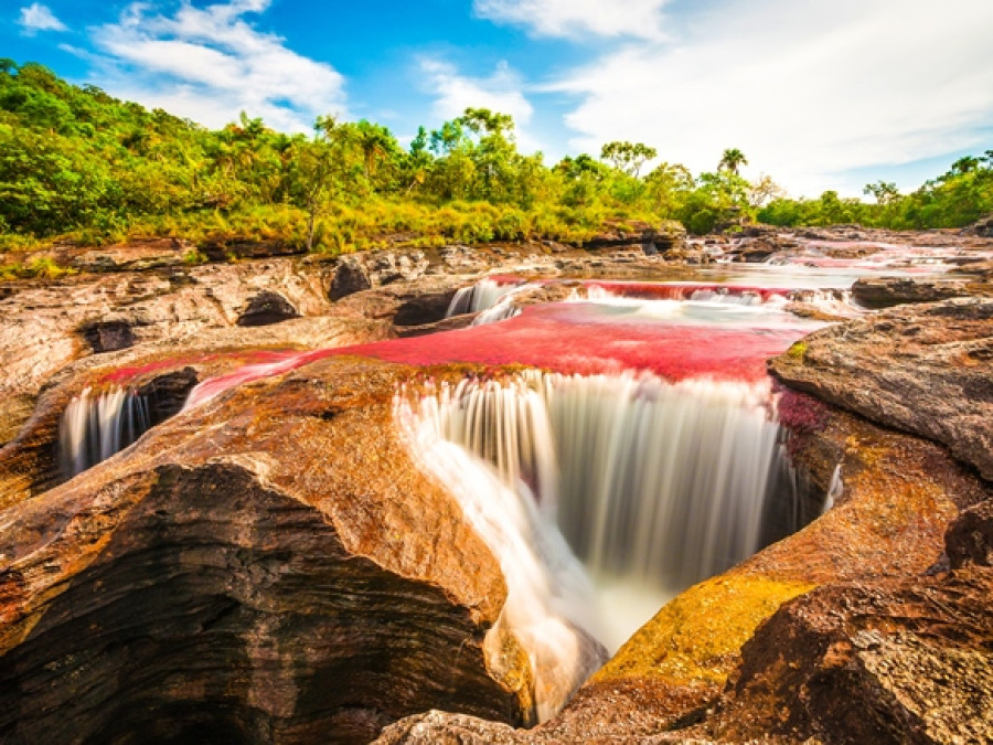 La nature en Colombie
