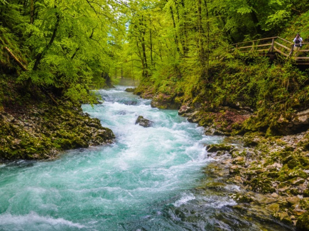 Gorges de Vintgar