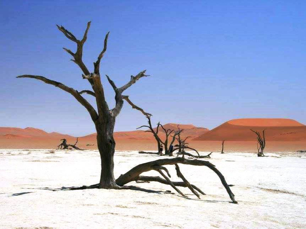 Deadvlei Namibie