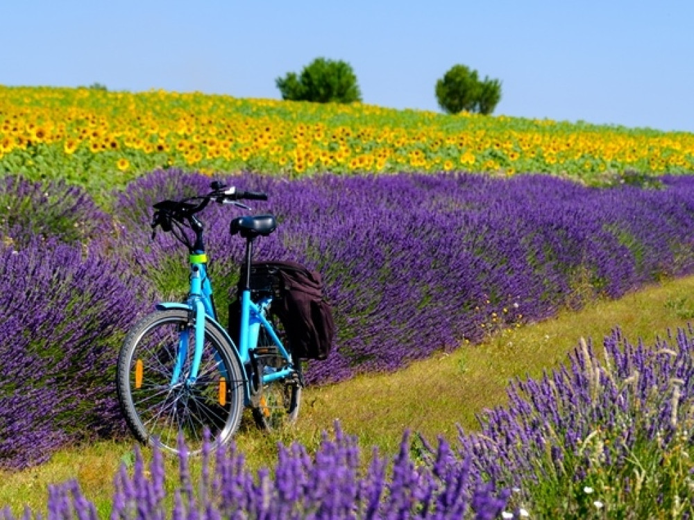 Vélo dans le sud de la France