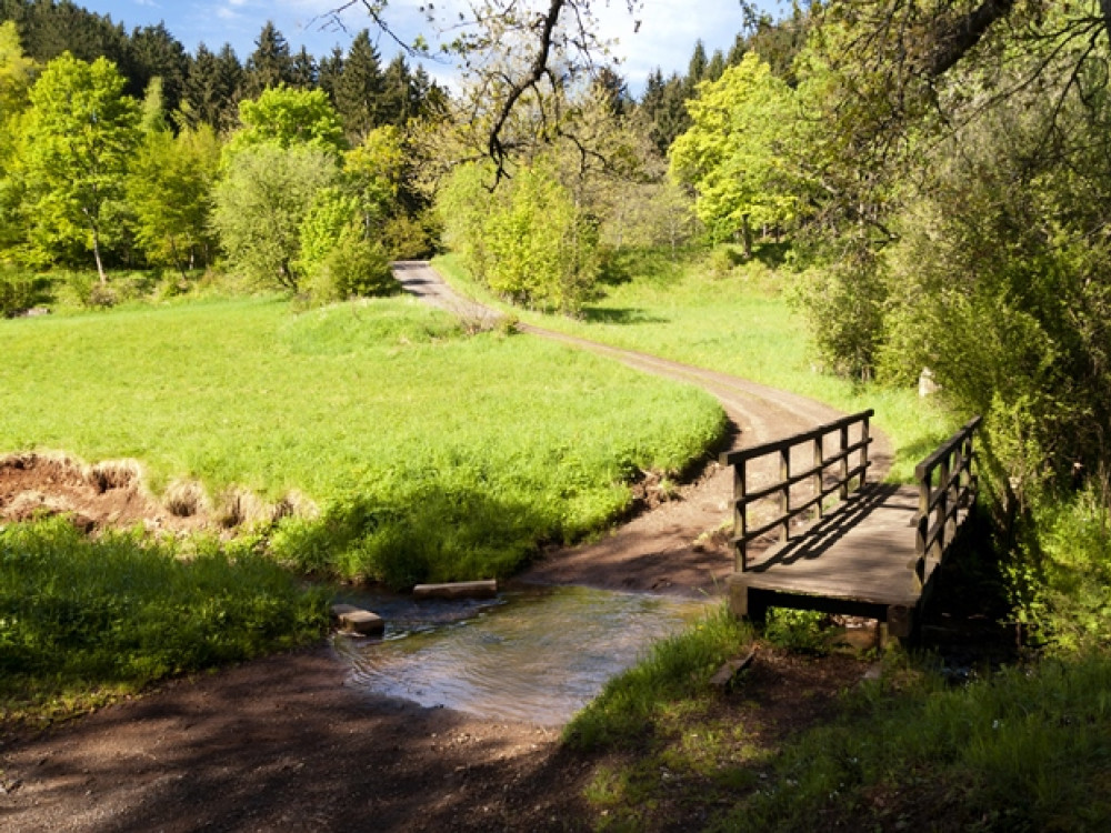 Randonnée sur l'Eifelsteig