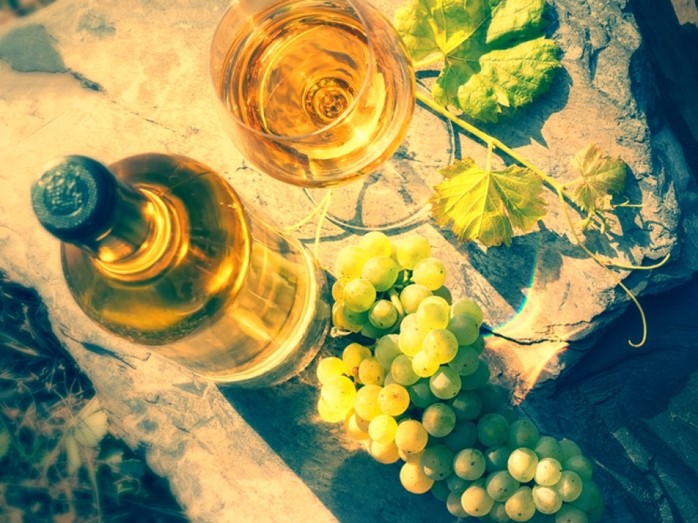 Vin et vélo