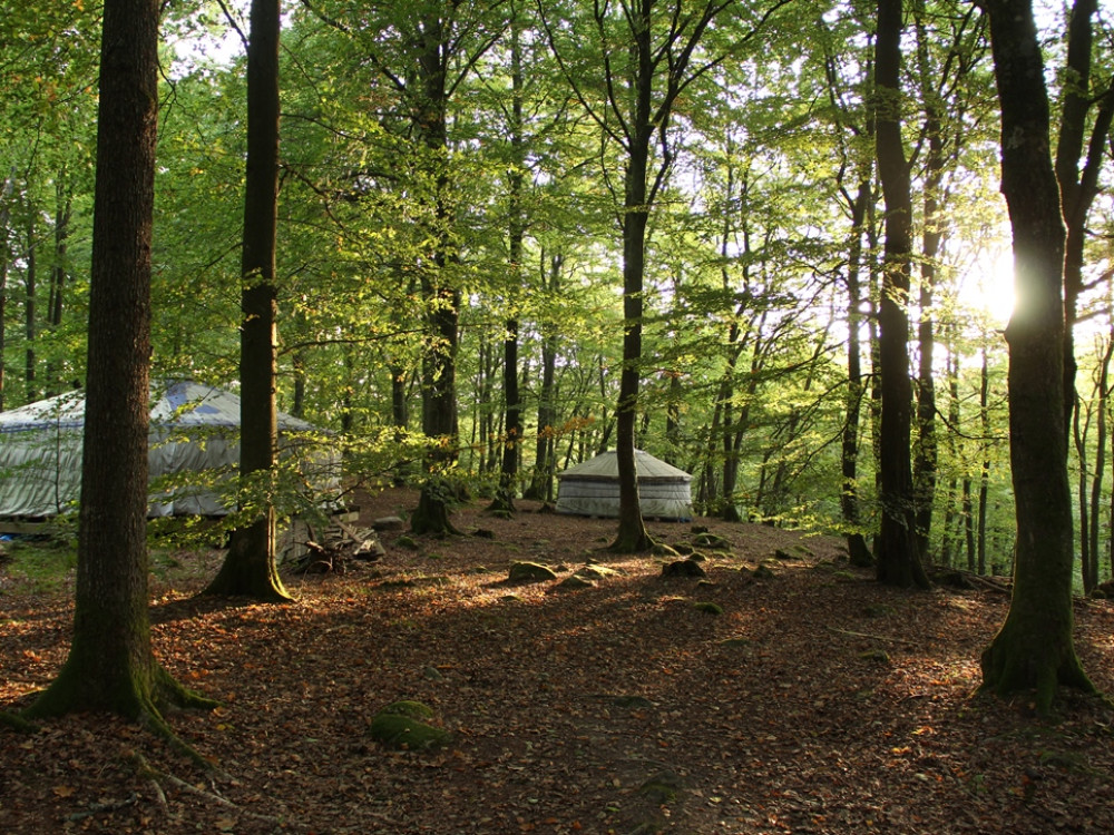 Hébergement Nyrups Naturhotel