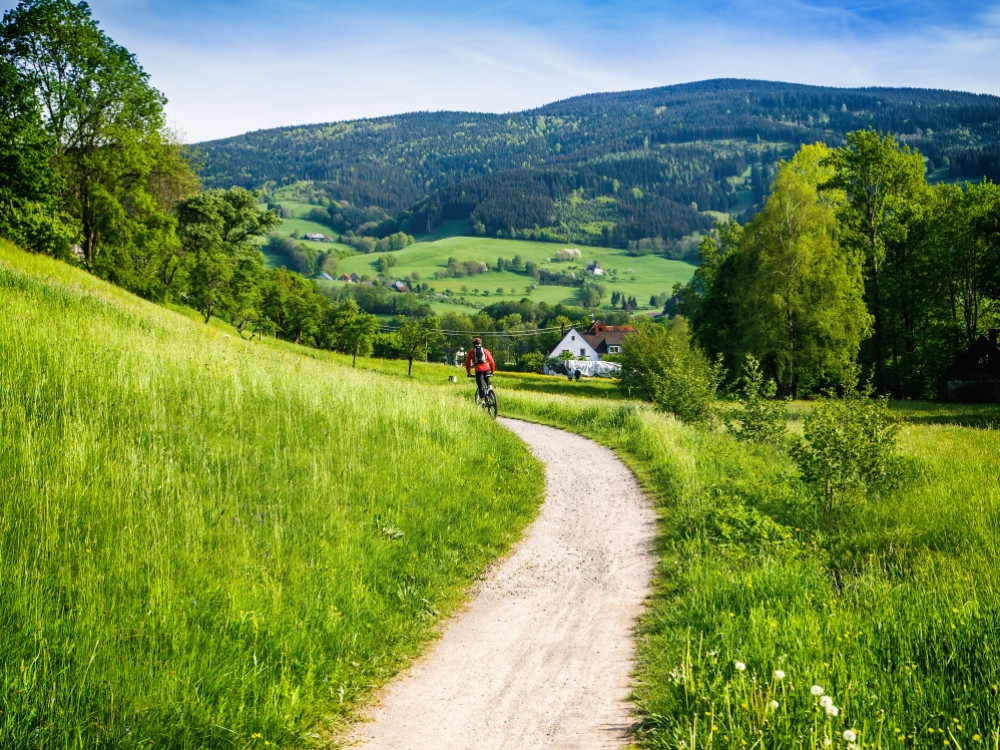 Chemin de vtt