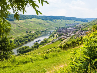 Image pour Faire du vélo le long de la Moselle