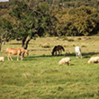 Image pour Booking.com - Tambor Del Llano