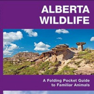 Image pour Guide nature - Faune au Canada