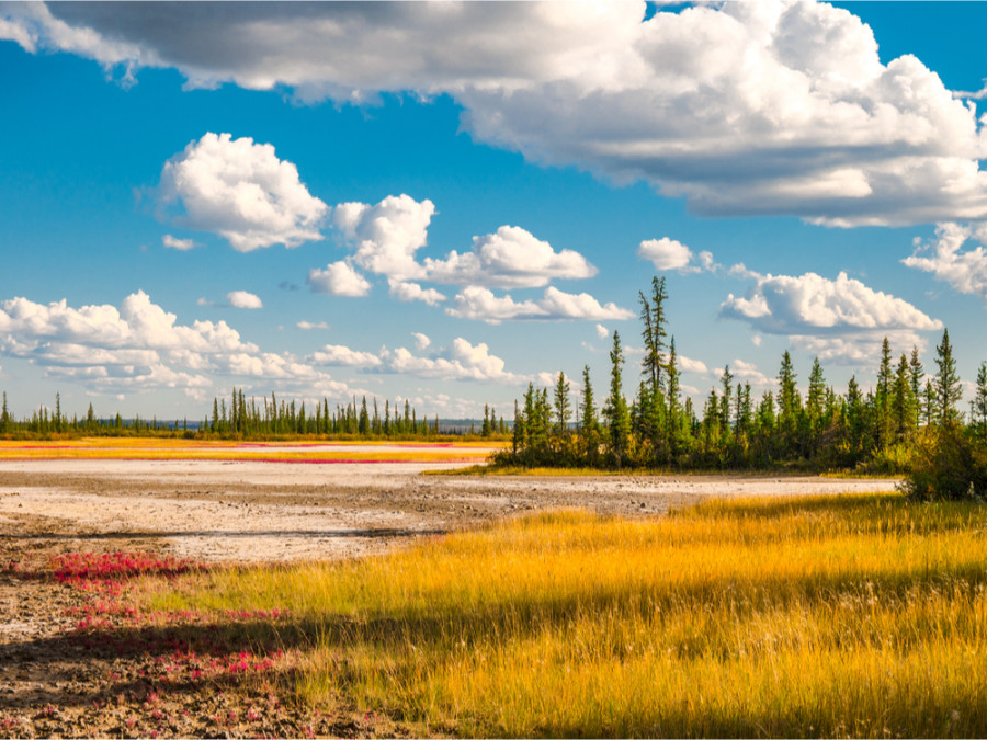 Voyage nature en Alberta Voyage nature en Alberta