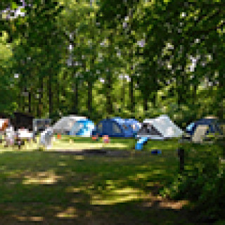 Image pour Allcamps - Campings de famille aux Pays-Bas