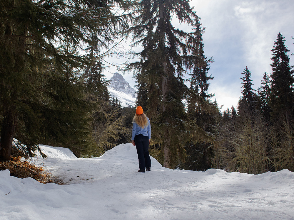 Forêt de l'Altiport