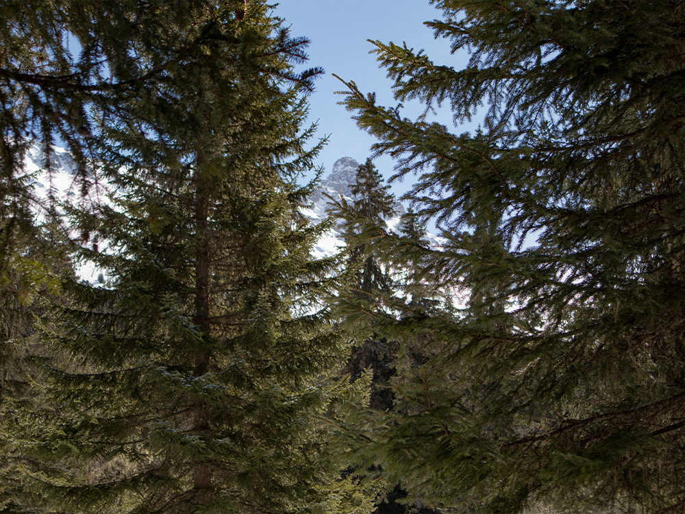La nature à Méribel
