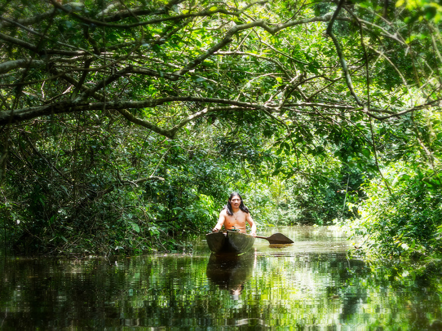Visiter l'Amazonie
