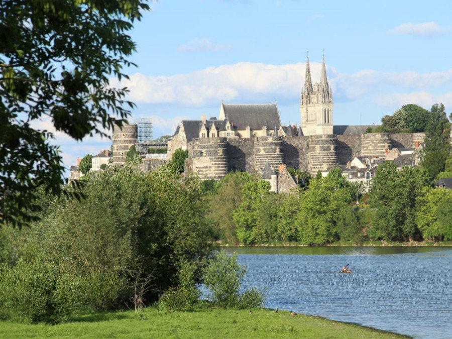 Paysage du château d'Angers