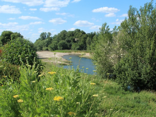 Image pour Vallée de la Loire