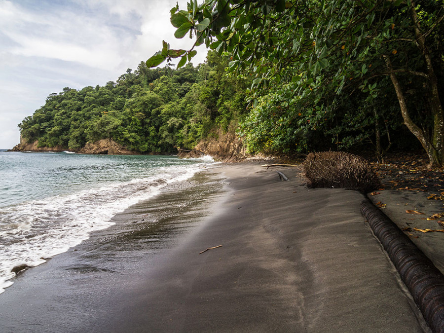 Les plus belles plages de Martinique