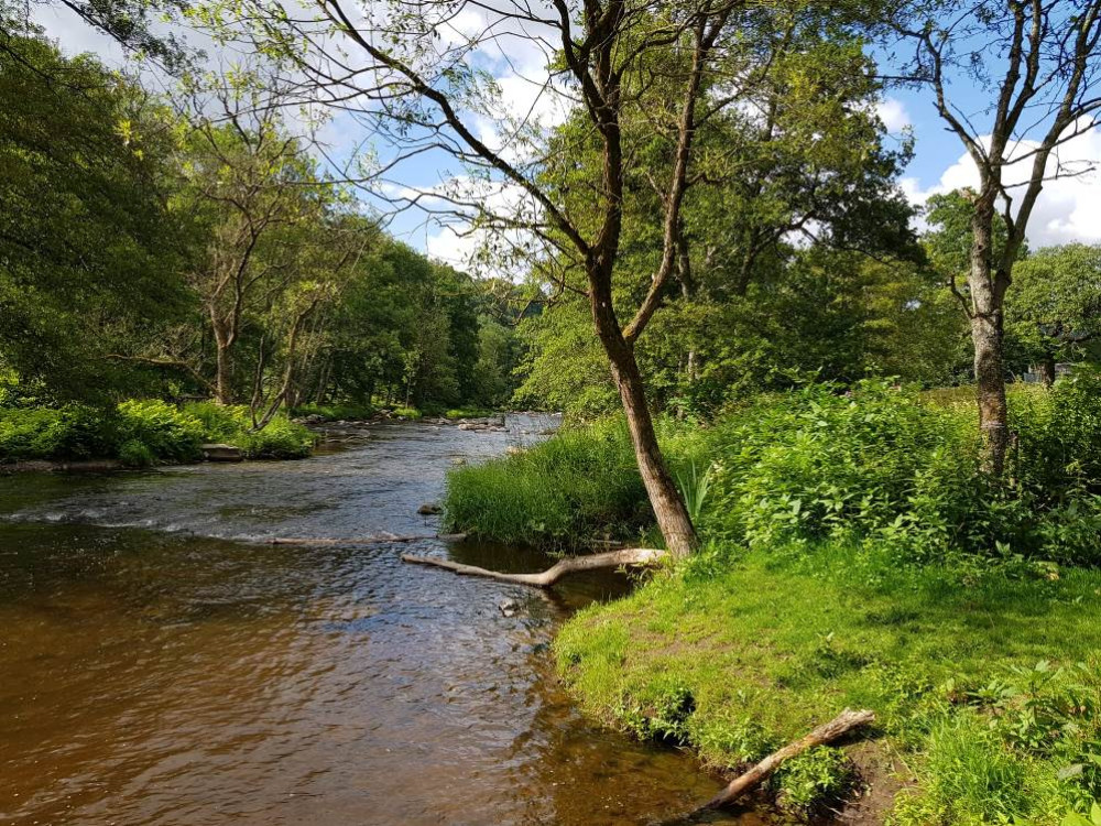 La nature en Wallonie