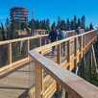 Image pour Get Your Guide - Treetop Walk
