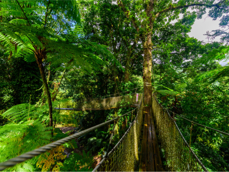 Jardins de Balata