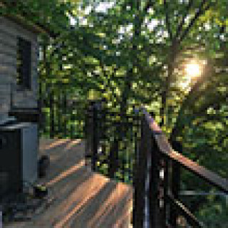 Image pour Cabane entre les chèvres