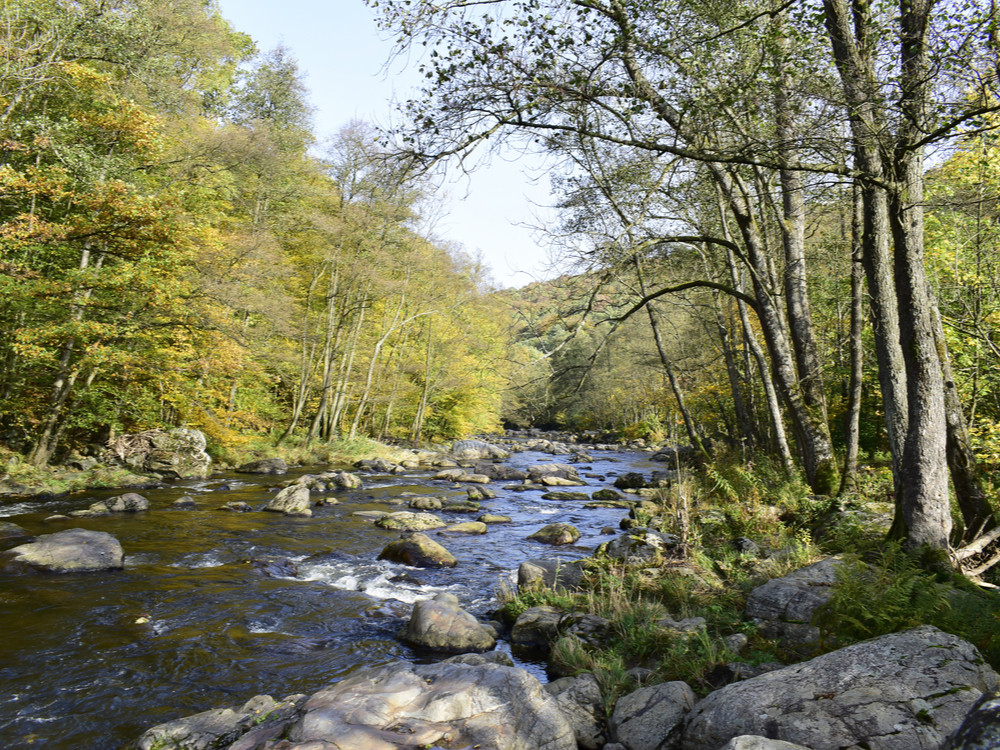 Voyage nature en Wallonie
