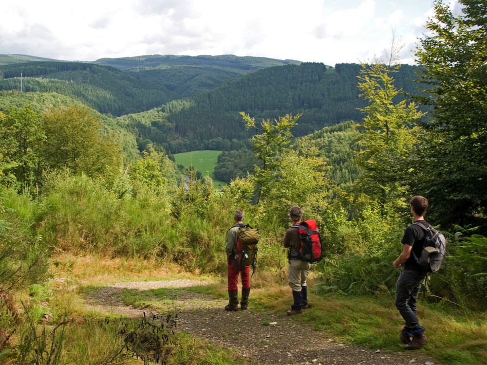 Randonnée en Ardenne