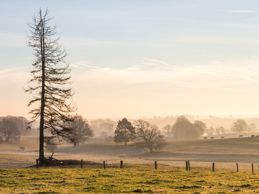 Nature Bastogne