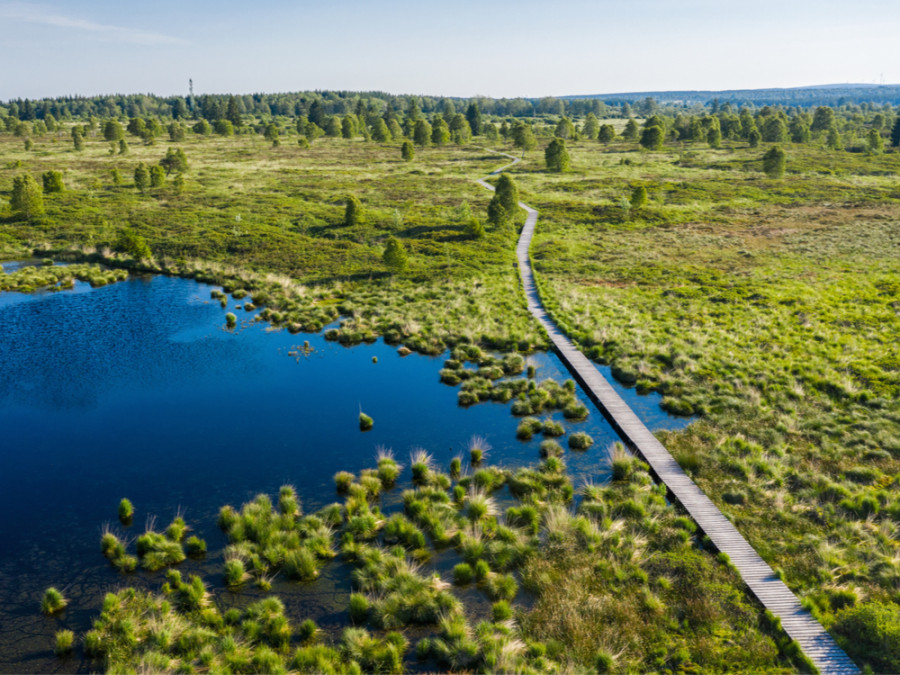 Sentier de randonnées des Hautes Fagnes