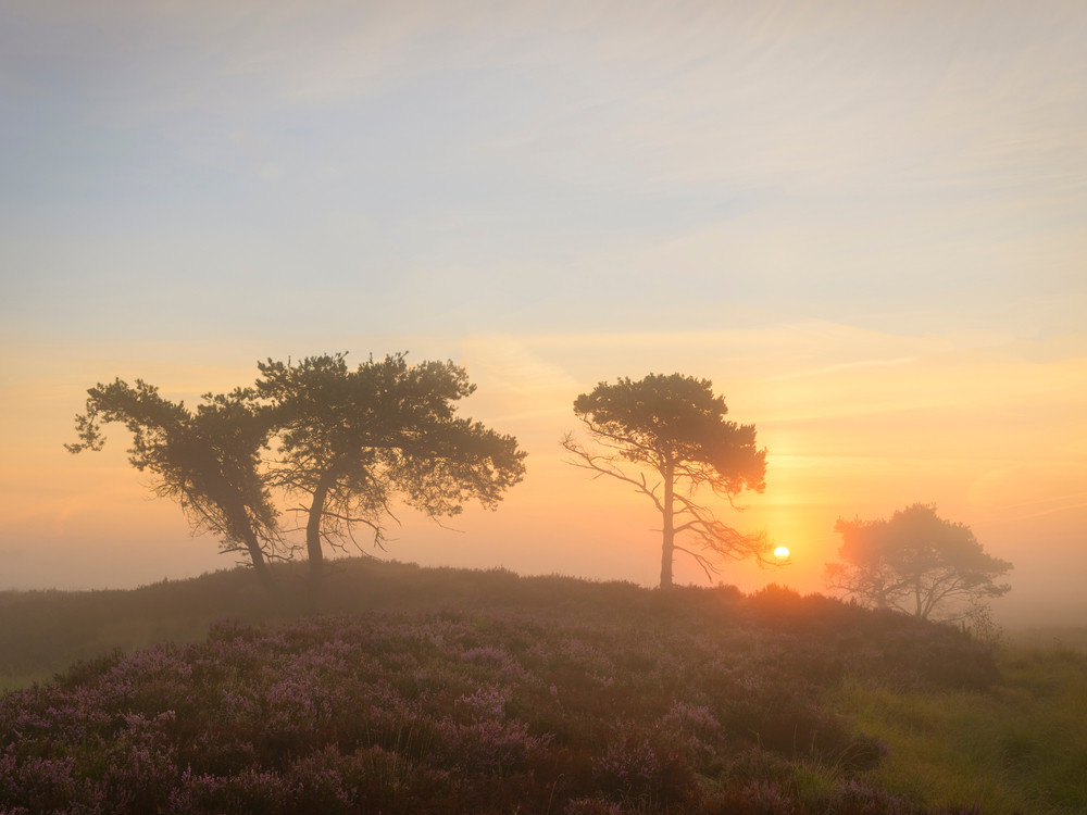 Coucher du soleil