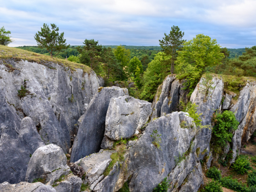 La nature méconnue de Wallonie