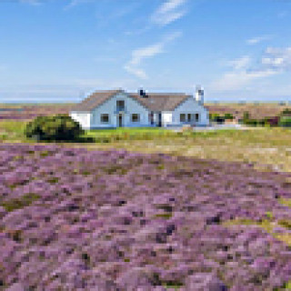 Image pour Booking.com - Chambres d'hôtes Hébrides