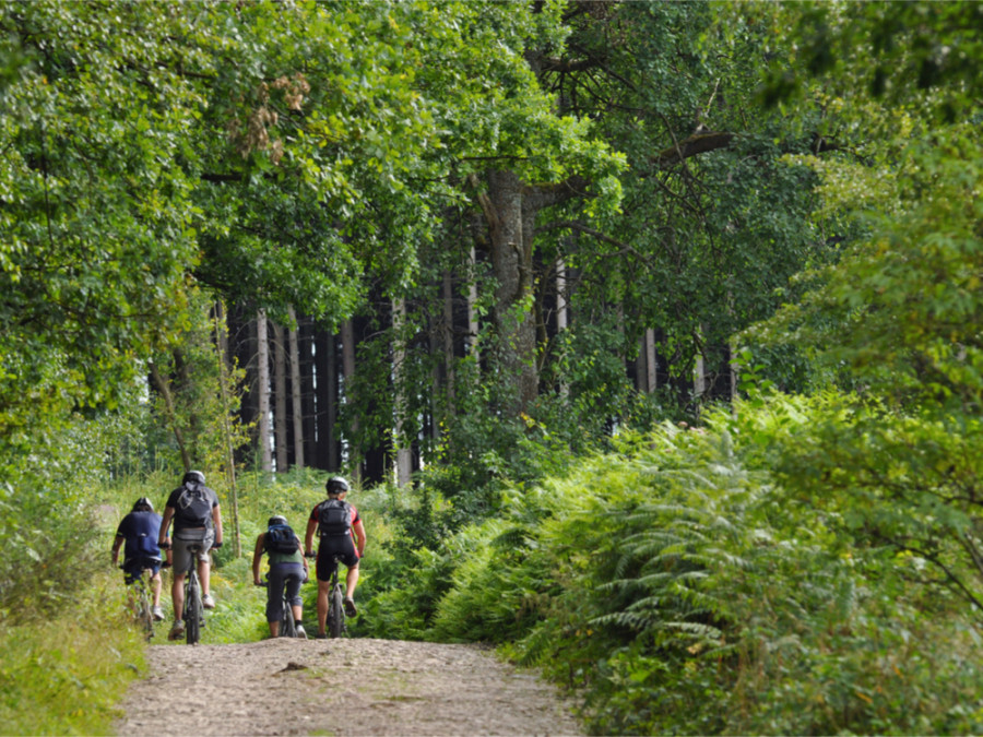 Parcours VTT en Ardennes