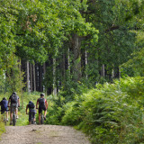 Image pour Le vélo en Ardenne