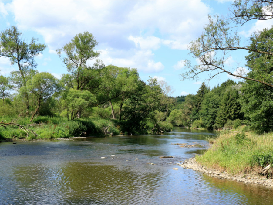 Rivière de l'Ourthe