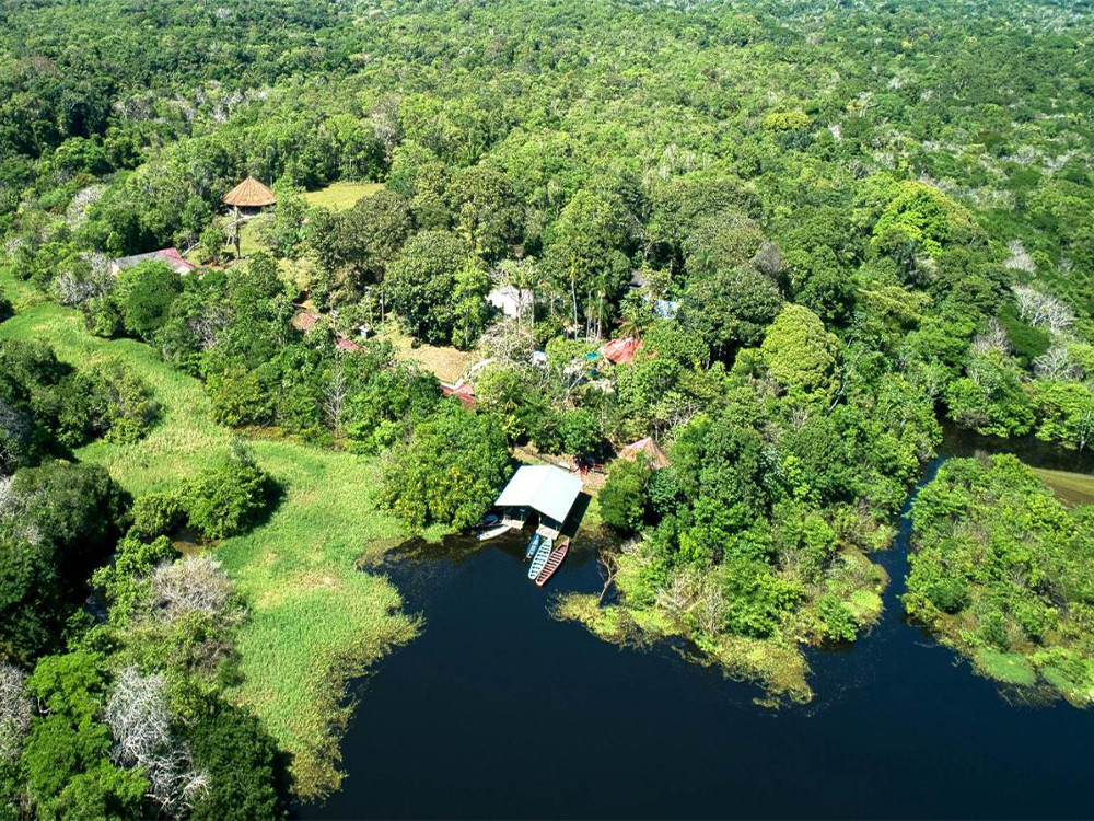 Lodge dans la jungle