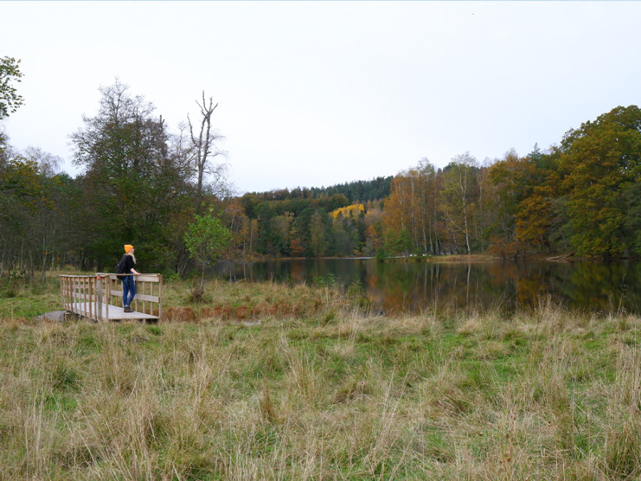 Beaux paysages de l'ouesr de la Suède
