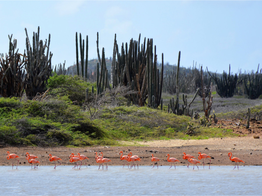 Îles ensoleillées Îles ensoleillées