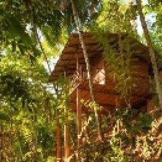 Image pour Booking.com - Polwatha Ecolodge