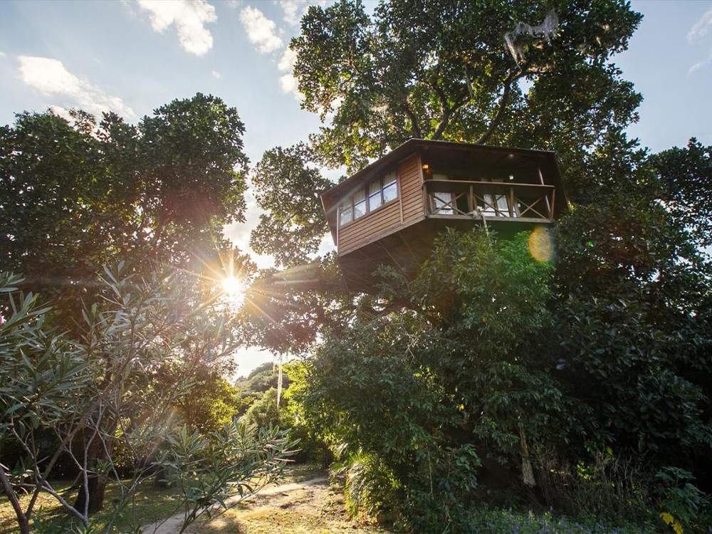 Nuit dans une cabane dans les arbres au Brésil