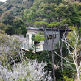 Image pour Booking.com - Treetop Tranquility