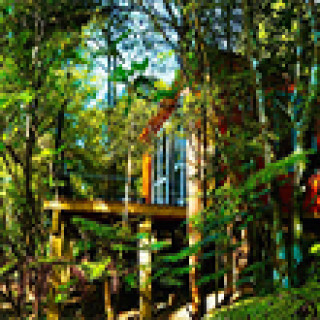 Image pour Booking.com - Fantail Bush Chalet