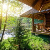 Image pour Vacances en forêt
