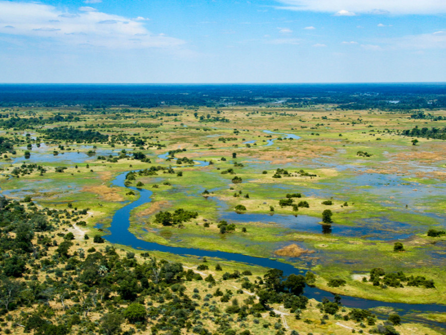 Les incontournables du Botswana