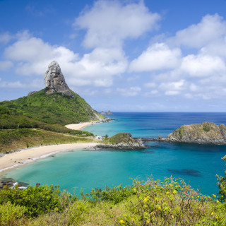 Image pour Brésil