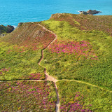 Image pour Randonnée en Bretagne