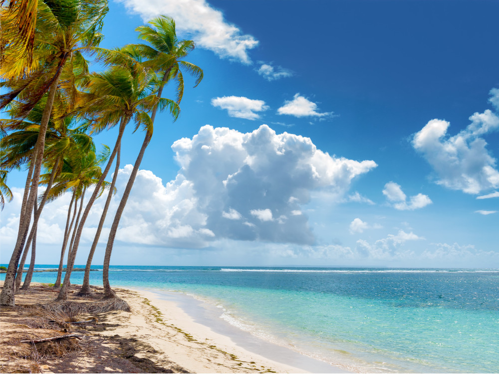 La Caravelle Guadeloupe