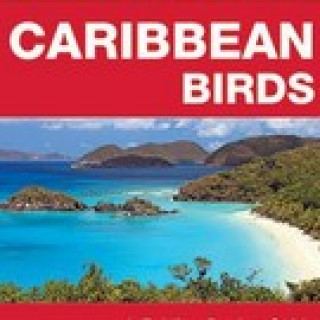 Image pour Guide des oiseaux des Caraïbes
